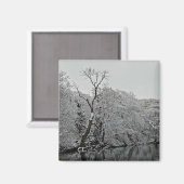 Bomen, aan het water magneet (Voorkant / Achterkant)