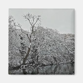 Bomen, aan het water magneet (Voorkant)