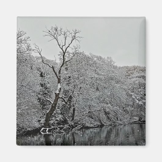 Bomen, aan het water magneet (Voorkant)