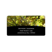 Bomen Adresetiketten Etiket (Voorkant)