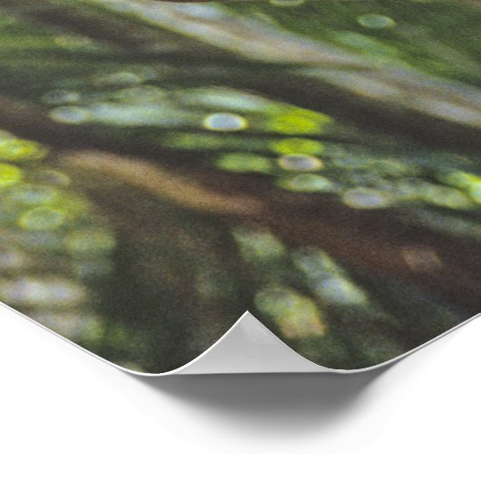 Bomen beklimmen. poster (Hoek)