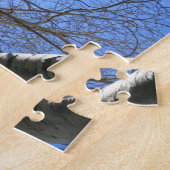 Bomen Berk Natuur Bos. Legpuzzel (Zijkant)