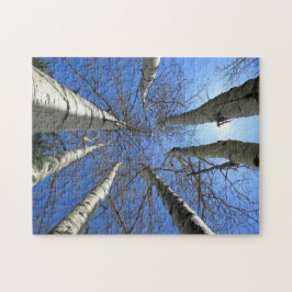 Bomen Berk Natuur Bos. Legpuzzel