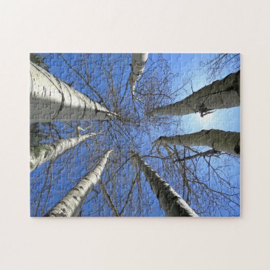 Bomen Berk Natuur Bos. Legpuzzel (Horizontaal)