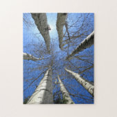 Bomen Berk Natuur Bos. Legpuzzel (Verticaal)