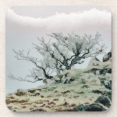 BOMEN BIER ONDERZETTER (Voorkant)