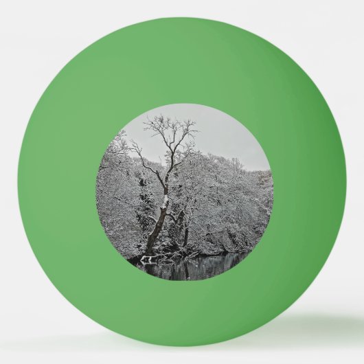 Bomen, bij het water pingpongbal (Voorkant)