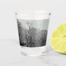 Bomen, bij het water shot glas