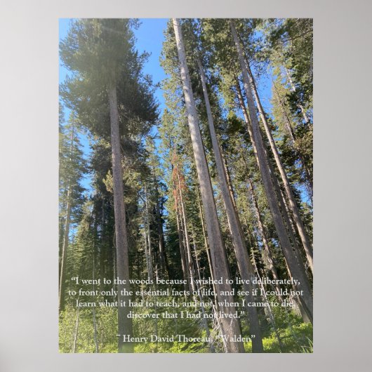 Bomen Bos Bossen Thoreau Inspirerend Poster (Voorkant)