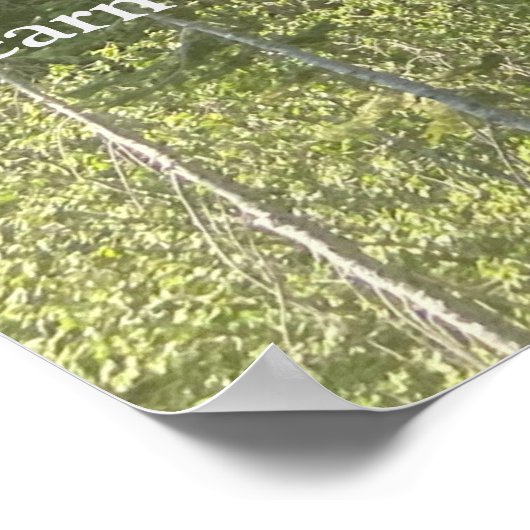 Bomen Bos Bossen Thoreau Inspirerend Poster (Hoek)