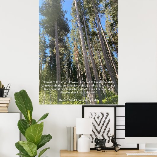 Bomen Bos Bossen Thoreau Inspirerend Poster (Thuiskantoor)
