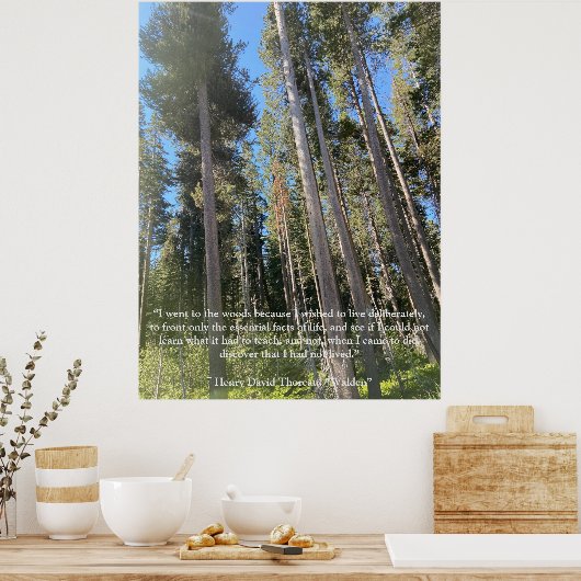 Bomen Bos Bossen Thoreau Inspirerend Poster (Keuken)