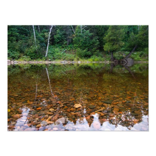 Bomen boven Rocky Pond Foto Afdruk (Voorkant)