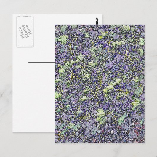 BOMEN BRIEFKAART (Voorkant / Achterkant)