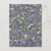 BOMEN BRIEFKAART (Voorkant)