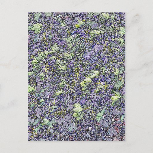 BOMEN BRIEFKAART (Voorkant)