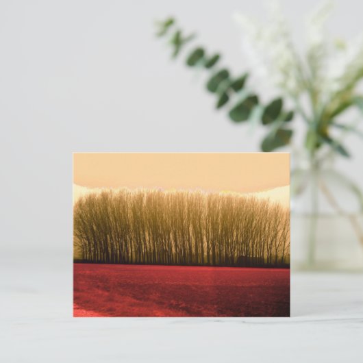 bomen briefkaart (Staand voorkant)