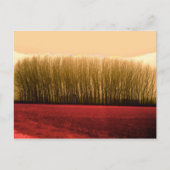 bomen briefkaart (Voorkant)