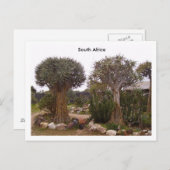 Bomen Briefkaart (Voorkant / Achterkant)