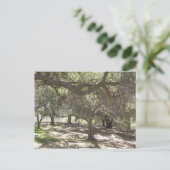 Bomen - briefkaart (Staand voorkant)