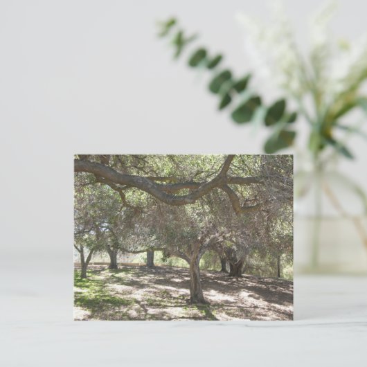 Bomen - briefkaart (Staand voorkant)