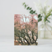 BOMEN BRIEFKAART (Staand voorkant)