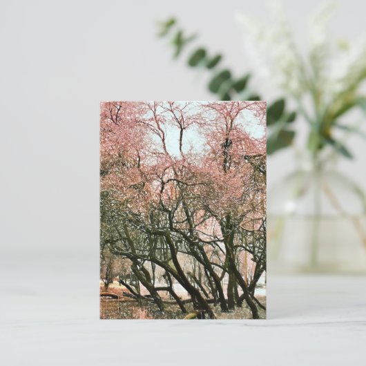 BOMEN BRIEFKAART (Staand voorkant)