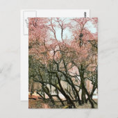 BOMEN BRIEFKAART (Voorkant / Achterkant)