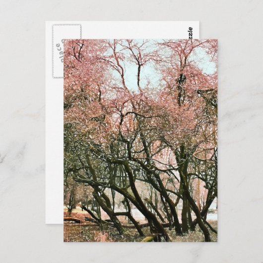 BOMEN BRIEFKAART (Voorkant / Achterkant)