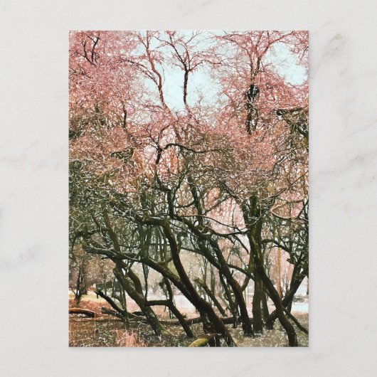 BOMEN BRIEFKAART (Voorkant)