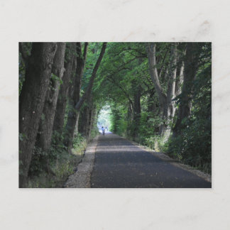 Bomen briefkaart