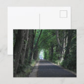 Bomen  briefkaart (Voorkant / Achterkant)