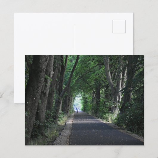 Bomen briefkaart (Voorkant / Achterkant)
