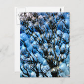 BOMEN BRIEFKAART (Voorkant / Achterkant)