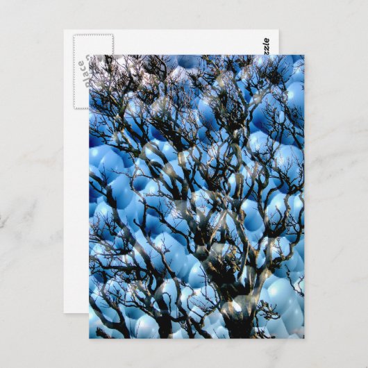 BOMEN BRIEFKAART (Voorkant / Achterkant)