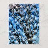 BOMEN BRIEFKAART (Voorkant)