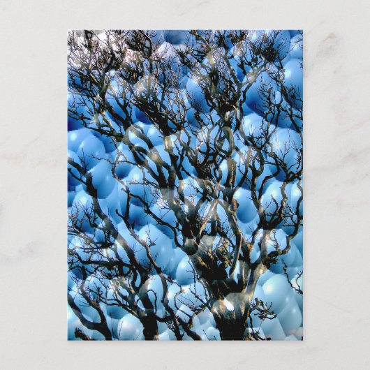 BOMEN BRIEFKAART (Voorkant)