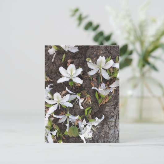 Bomen Briefkaart (Staand voorkant)