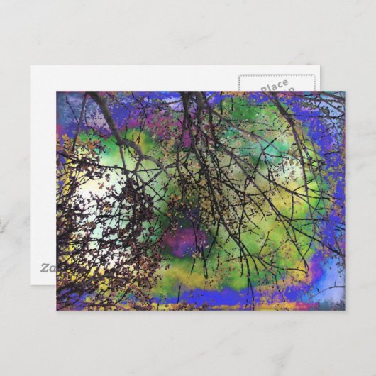 Bomen Briefkaart (Voorkant / Achterkant)