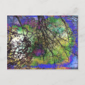 Bomen Briefkaart (Voorkant)