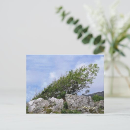 BOMEN BRIEFKAART (Staand voorkant)