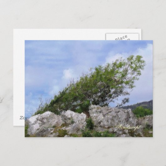 BOMEN BRIEFKAART (Voorkant / Achterkant)