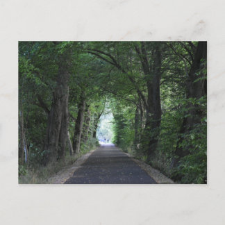 Bomen Briefkaart
