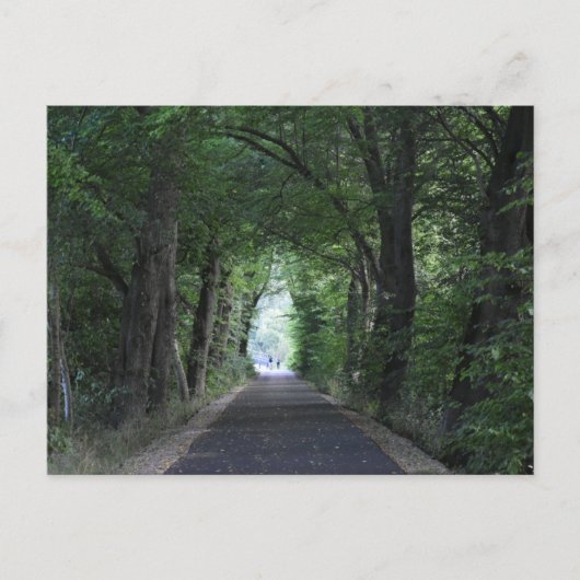 Bomen Briefkaart (Voorkant)