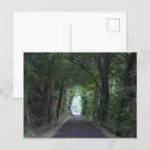 Bomen Briefkaart (Voorkant / Achterkant)