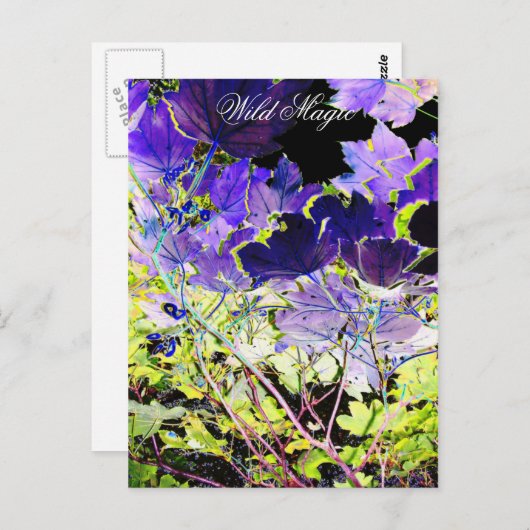 BOMEN BRIEFKAART (Voorkant / Achterkant)