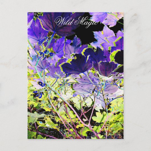 BOMEN BRIEFKAART (Voorkant)