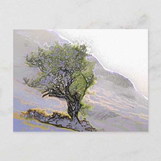 BOMEN BRIEFKAART (Voorkant)