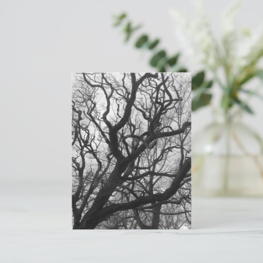 Bomen Briefkaart (Staand voorkant)