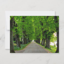 Bomen Briefkaart